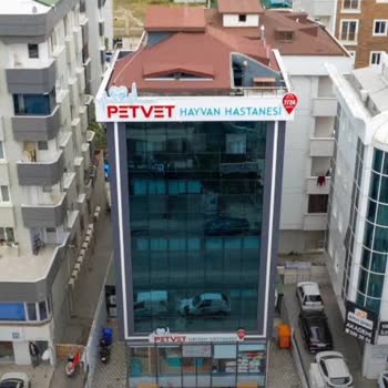 Hayvan Sağlığına Zararlı Uygulamalar Ve Usulsüz Tedavi Şikayeti