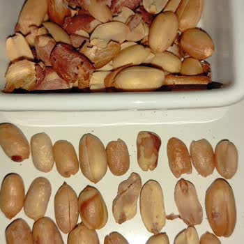 Tadım Markasında Taze Olmayan Ve Çürük Fıstık Şikayeti