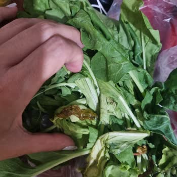 Migros Sanal Markette Eksik Ve Kalitesiz Ürünler, Ulaşılamayan Müşteri Hizmeti