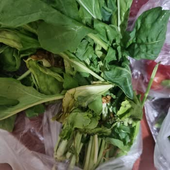 Migros Sanal Markette Eksik Ve Kalitesiz Ürünler, Ulaşılamayan Müşteri Hizmeti