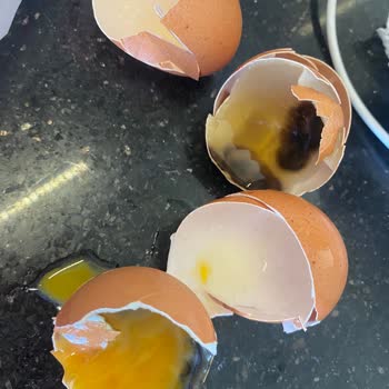 Migros Hemen'den Aldığım Organik Yumurtalar Küflü Ve Bozuk Çıktı