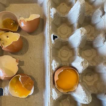 Migros Hemen'den Aldığım Organik Yumurtalar Küflü Ve Bozuk Çıktı