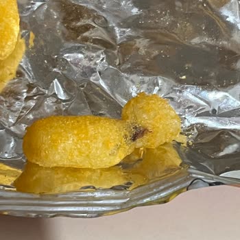 Cips İçerisinde Sert Ve Yabancı Madde Tehlikesi