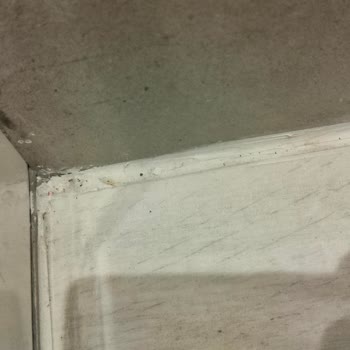 Airbnb'de Haksız Tazminat Talebi Ve Yasa Dışı Eve Giriş Mağduriyeti