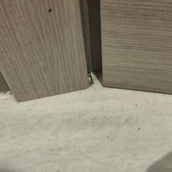 Airbnb'de Haksız Tazminat Talebi Ve Yasa Dışı Eve Giriş Mağduriyeti