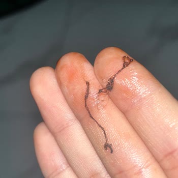 Milka нитки, а может и червяки какие то в шоколаде