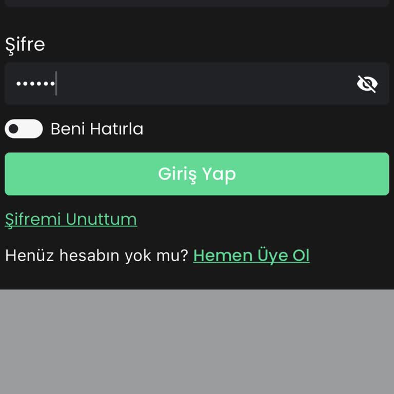 Bitay Hesabım Kapatıldı, Hiçbir Destek Alamıyorum!