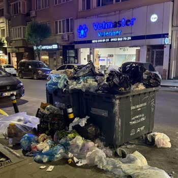 Çöp Konteyneri Nedeniyle Oluşan Hijyen Sorunu Ve Belediyenin İlgisizliği