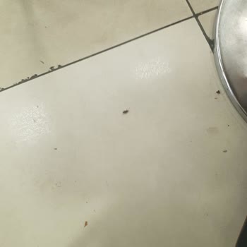 Kadıköy Burger King Rıhtım Şubesinde Hijyen Ve Personel Sorunu