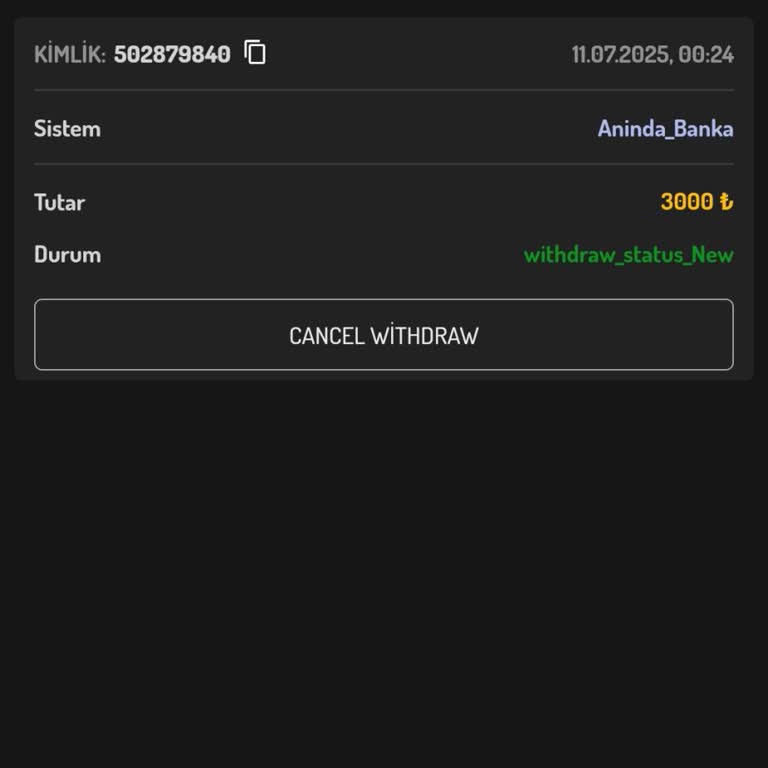 Betlesene Yatırım Yaptığım Sitede Çekim İşlemi Gerçekleşmedi