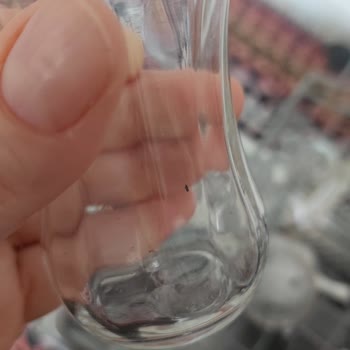 Beko Bulaşık Makinesi Bardakları Çiziyor Ve Kötü Yıkıyor, Servis Sorunu Çözmüyor