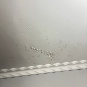 Kefir Şişesi Patladı, Sağlık Ve Maddi Zarar Oluştu