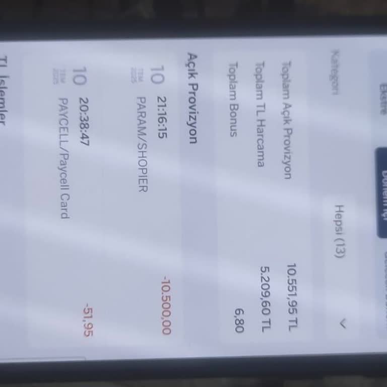 Bilgim Dışında Shopier Ankara'dan Yüksek Miktarda Para Çekildi