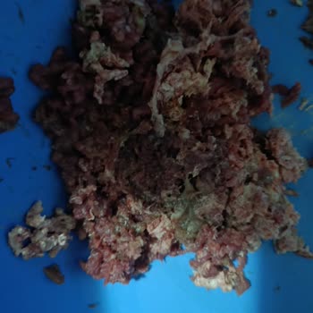 İade Talebim Haksız Şekilde Reddedildi, Mağdur Edildim