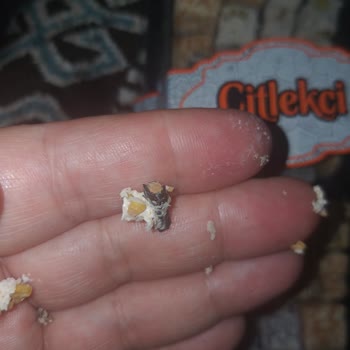 Lokumun İçinden Dal Parçası Çıktı, Mağaza Ve Müşteri Hizmetleri İlgisiz Davrandı