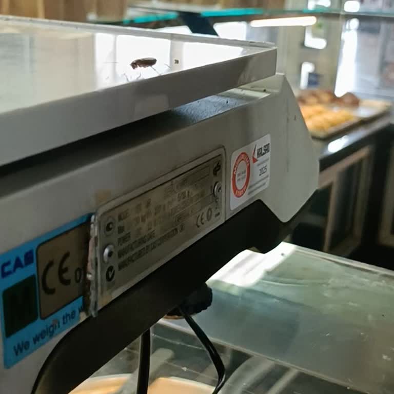 Antepli Şerifoğlu Baklavaları Teraziden Haşere Çıkmasıyla Hayal Kırıklığı Yaşadım