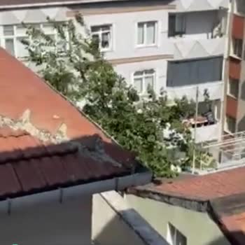 Güngören Belediyesi Sabah Ezanıyla Ağaç Kesimleri Yapıyor