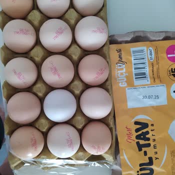 Groseri Gıda Gül-Tav Yumurta Şikayeti