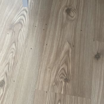 Aldığım Ürünlerde Böcek Çıktı Masraflarım Karşılanmadı