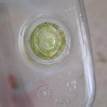 Brita Cam Sürahide Ulaşılması Zor Yosunlanma Sorunu