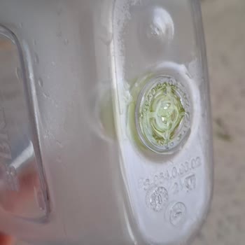 Brita Cam Sürahide Ulaşılması Zor Yosunlanma Sorunu