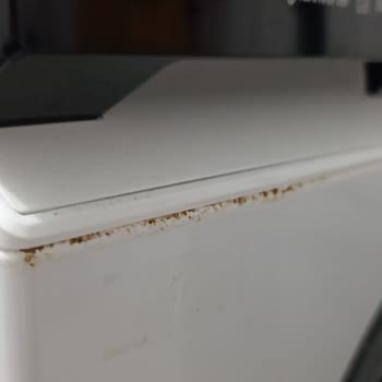 Samsung Çamaşır Makinesinde Garanti Kapsamında Paslanma Sorunu Ve Yetersiz Servis Desteği