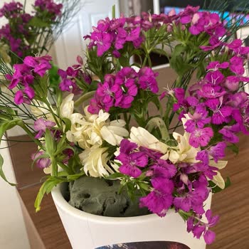 Çiçek Ve Saksı Hayal Kırıklığı: Beklentiyi Karşılamadı