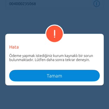 Elektrik Faturası Ödeme Sorunu Ve Müşteri Hizmetlerine Ulaşılamaması