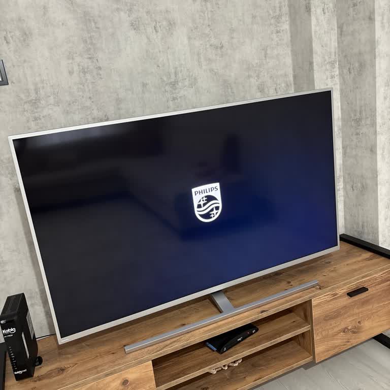 Televizyon Yazılım Hatası ve Yüksek Onarım Ücretleri Hakkında Şikayet