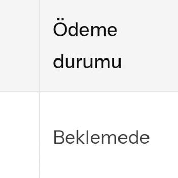 Kargo Takip Ve Ödeme Sorunlarına Yanıt Alamıyorum