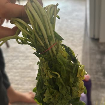 A101 Kapıda Siparişimde Bozuk Yeşillikler Gönderildi