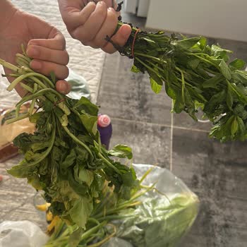 A101 Kapıda Siparişimde Bozuk Yeşillikler Gönderildi