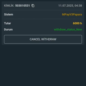 Holeyy.com Çekim İşlemi Yapılmıyor Muhatap Bulunamıyor
