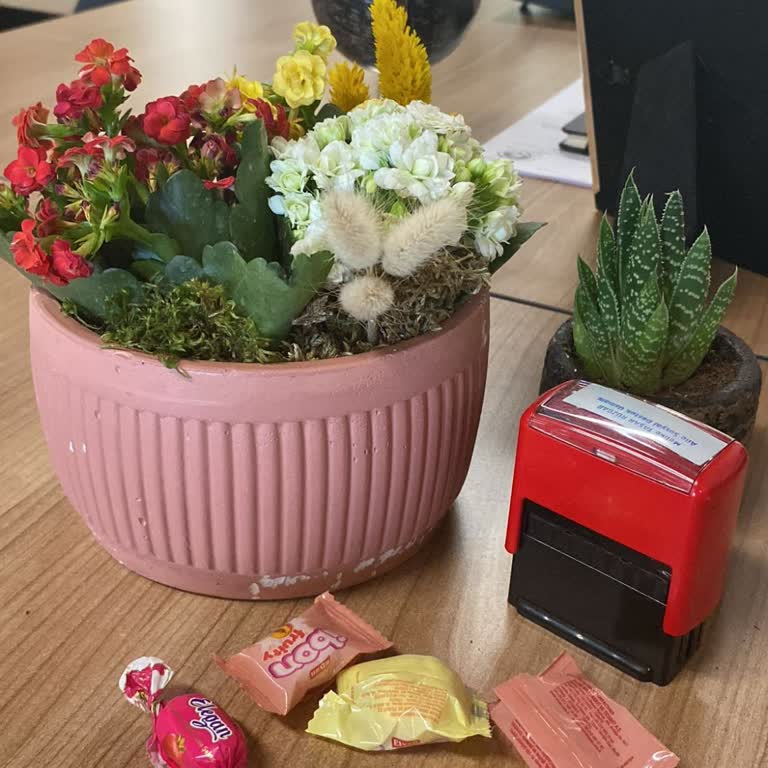 Görseldekiyle Uyuşmayan Ve Kırık Saksılı Çiçek Teslimatı Hayal Kırıklığı Yarattı