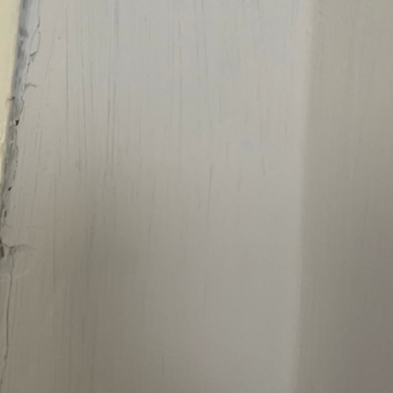 Aldığım Boya Renk Ve Kalite Sorunu, Müşteri Hizmetleri Yanıt Vermiyor