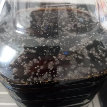 Taze Alınan Salata Sosu Küflendi, Firma İlgisiz Kaldı