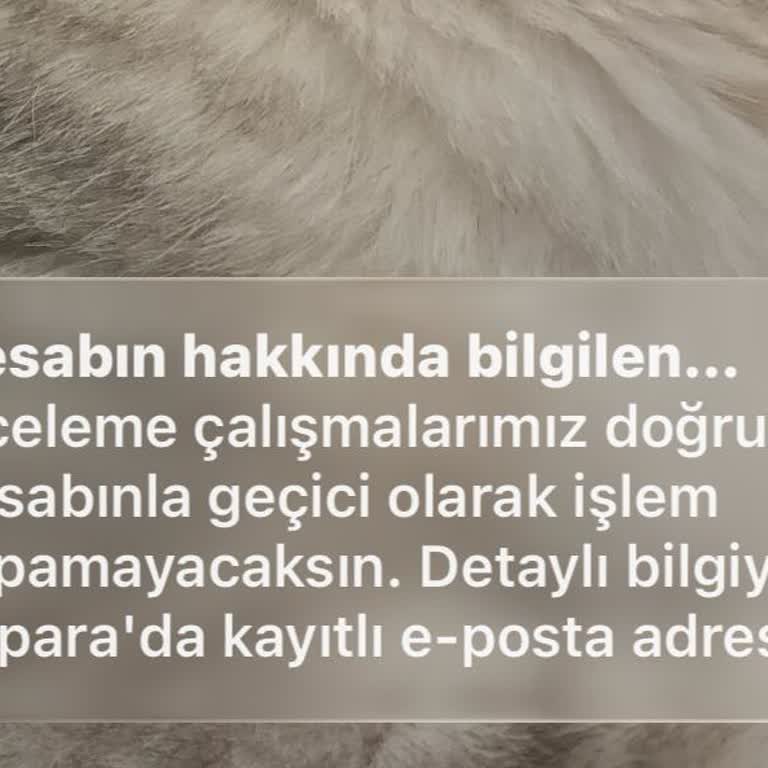 Papara Hesabım Uzun Süredir Kapalı, Bilgi Alamıyorum Ve Yardım Bekliyorum