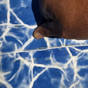 Sermed Havuz'un İlgisizliği Ve Sorunlu Hizmeti Depremzedeyi Mağdur Etti