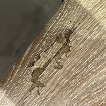 Altus Buzdolabı Arızası Parkelerimi Mahvetti, Değişim Ve Zarar Tazmini İstiyorum