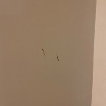 Hijyen Sorunları, Kötü Hizmet Ve İade Problemi Yaşadık