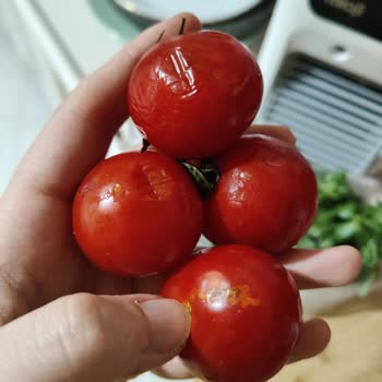 Siparişim Geç Ve Eksik Geldi, Çürük Ürünler Gönderildi