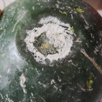 Siparişim Geç Ve Eksik Geldi, Çürük Ürünler Gönderildi