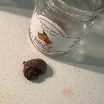 Kestane Şekerinden Kurt Çıkması Ve Sağlıksız Ürün Deneyimi