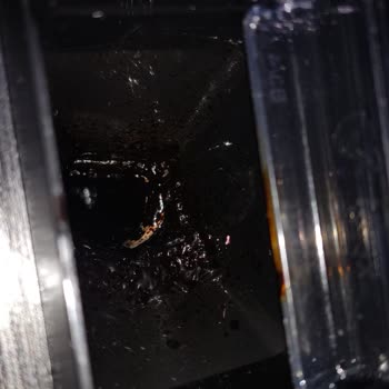 Philips Kahve Makinesi Haznesi Yandı, Kasko Kaydı Bulunmuyor