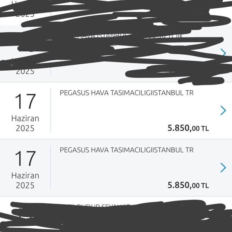 Pegasus Flugticket gekauft, keine Buchungsbestätigung, Kundenservice löst Problem nicht