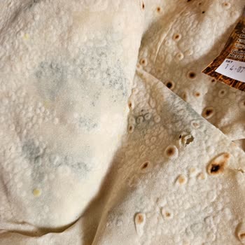 Ages Fırın Çalışan Tavrı