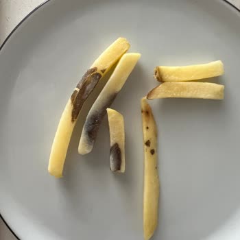 Metro Chef Ürünlerinde Kalite Düşüşü Ve Memnuniyetsizlik