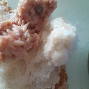 BİM'den Aldığım Ton Balığında Kılçık Ve Balık Derisi Çıktı!