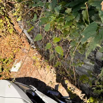 Kasko Sürecinde Beklenmedik Gecikme Ve İletişim Sorunu