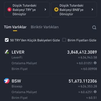 Bsw Coin Transferinde Kayıp: Binance TR'den Bybit'e Gönderimde Sorun